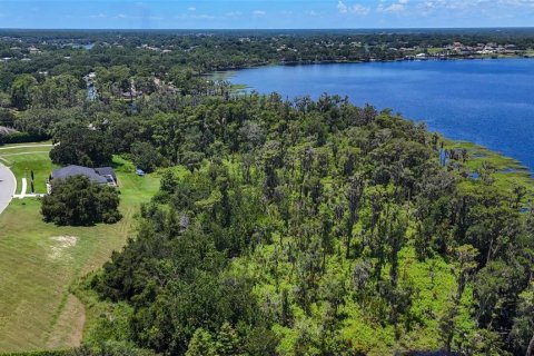 Land in Clermont, Florida № 1796060 - photo 3