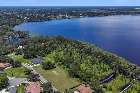 Land in Clermont, Florida № 1796060 - photo 8