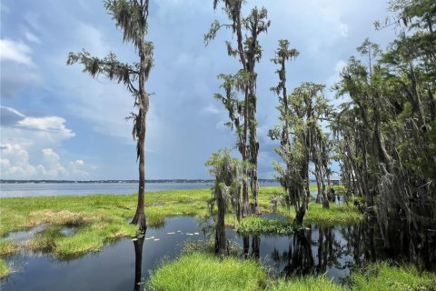 Land in Clermont, Florida № 1796060 - photo 2