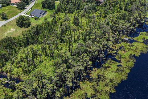 Land in Clermont, Florida № 1796060 - photo 6