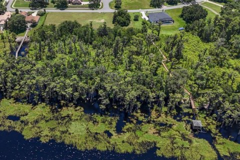 Land in Clermont, Florida № 1796060 - photo 13