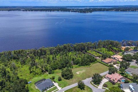 Land in Clermont, Florida № 1796060 - photo 10