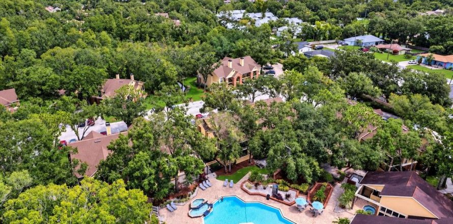Condo à Tampa, Floride, 1 chambre  № 2431118