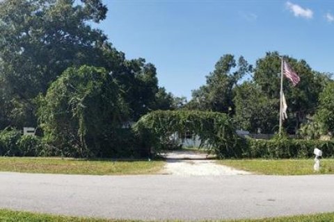 Villa ou maison à vendre à Oldsmar, Floride: 2 chambres, 83.43 m2 № 1828493 - photo 5