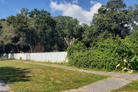 Villa ou maison à vendre à Oldsmar, Floride: 2 chambres, 83.43 m2 № 1828493 - photo 6