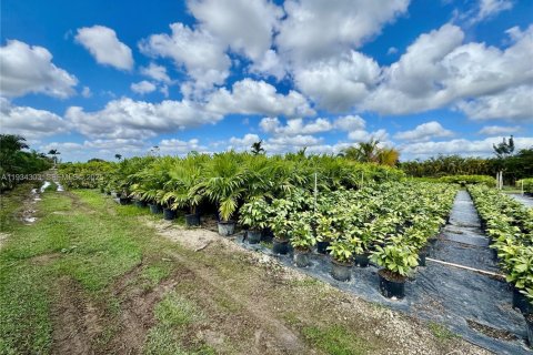 Immobilier commercial à vendre à Homestead, Floride № 1992665 - photo 6