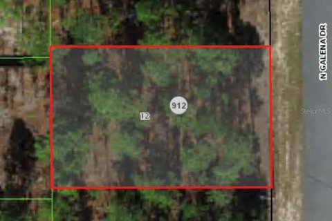 Land in Citrus Springs, Florida № 2163134