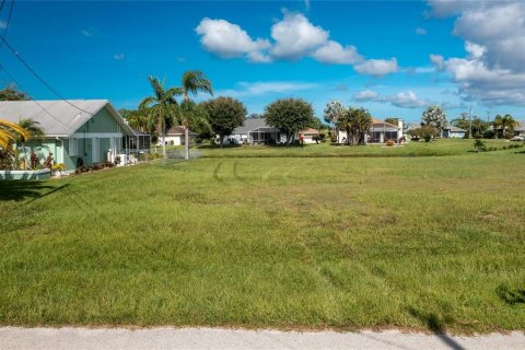 Land in Rotonda, Florida № 2164588 - photo 5