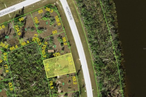 Land in Port Charlotte, Florida № 2164879 - photo 2