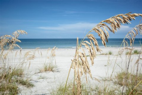 Casa en alquiler en Saint Pete Beach, Florida, 2 dormitorios, 139.35 m2 № 251618 - foto 14