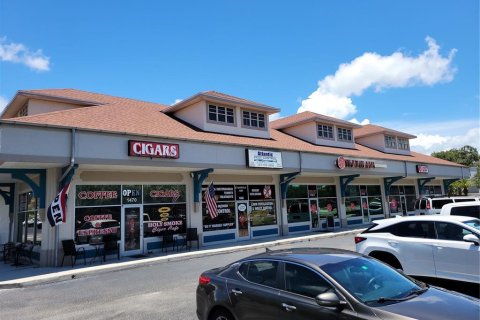 Commercial property in Palm Harbor, Florida 85.93 sq.m. № 1540498 - photo 2