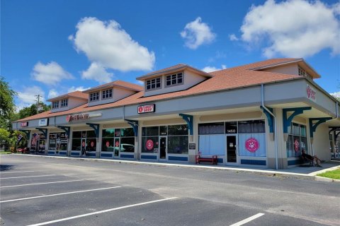 Commercial property in Palm Harbor, Florida 85.93 sq.m. № 1540498 - photo 1