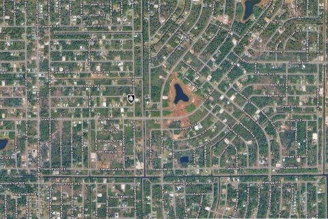 Land in Lehigh Acres, Florida № 2383498 - photo 3