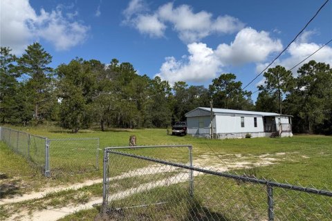 Immobilier commercial à Lecanto, Floride 360.46 m2 № 2306843