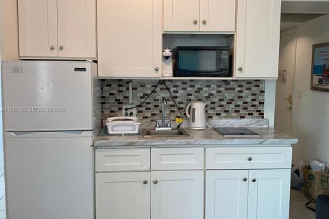 Купить кондоминиум в Майами-Бич, Флорида 37.16м2, № 2053574 - фото 2