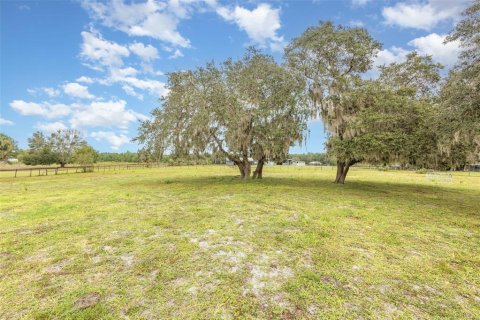 Land in Lake Helen, Florida № 2157824 - photo 19