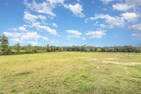 Land in Lake Helen, Florida № 2157824 - photo 21