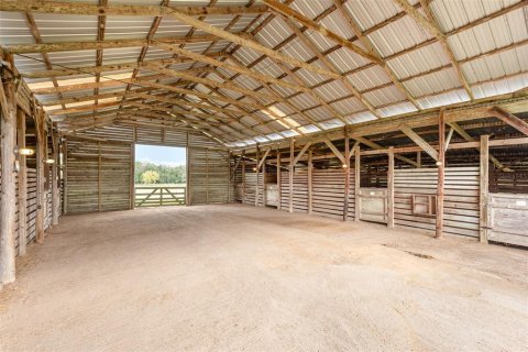 Land in Lake Helen, Florida № 2157824 - photo 3