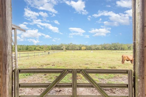 Land in Lake Helen, Florida № 2157824 - photo 4