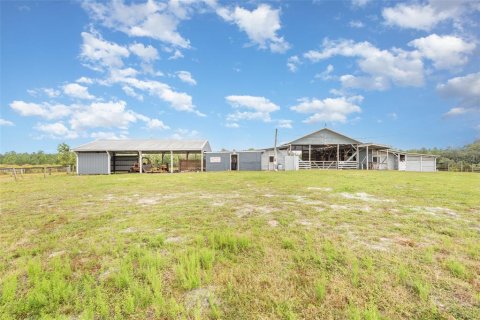 Land in Lake Helen, Florida № 2157824 - photo 9