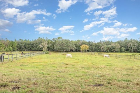 Land in Lake Helen, Florida № 2157824 - photo 16