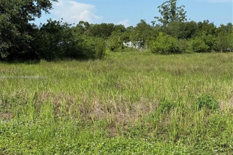 Terrain à vendre à Clewiston, Floride № 1938805 - photo 11