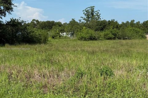 Terrain à vendre à Clewiston, Floride № 1938805 - photo 9