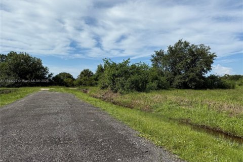 Terrain à vendre à Clewiston, Floride № 1938805 - photo 4