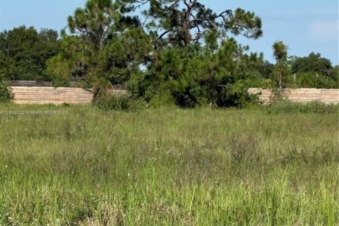 Terrain à vendre à Clewiston, Floride № 1938805 - photo 8