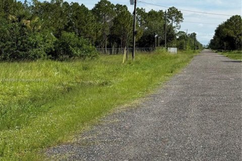 Terrain à vendre à Clewiston, Floride № 1938805 - photo 14