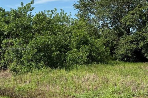 Terrain à vendre à Clewiston, Floride № 1938805 - photo 12
