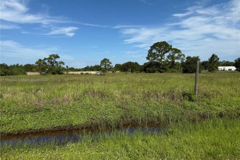 Terrain à vendre à Clewiston, Floride № 1938805 - photo 7