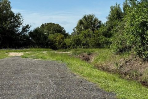 Terrain à vendre à Clewiston, Floride № 1938805 - photo 15