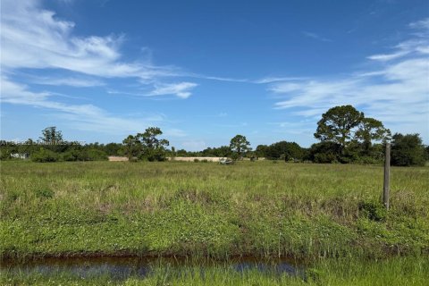 Terrain à vendre à Clewiston, Floride № 1938805 - photo 1