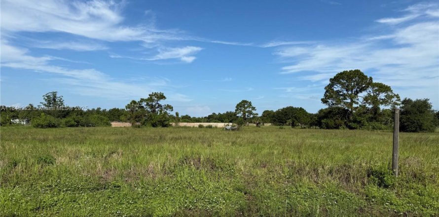 Terrain à Clewiston, Floride № 1938805