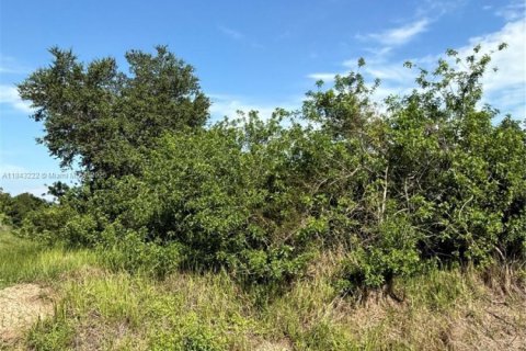 Terrain à vendre à Clewiston, Floride № 1938805 - photo 13