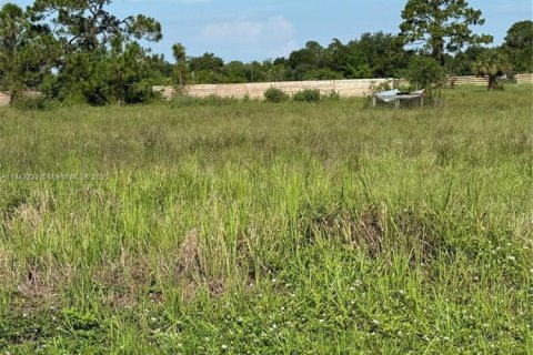 Terrain à vendre à Clewiston, Floride № 1938805 - photo 10