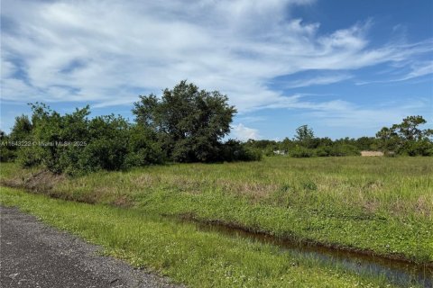 Terrain à vendre à Clewiston, Floride № 1938805 - photo 3