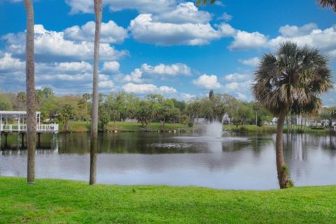 Apartamento en alquiler en New Port Richey, Florida, 2 dormitorios, 73.67 m2 № 1900886 - foto 18