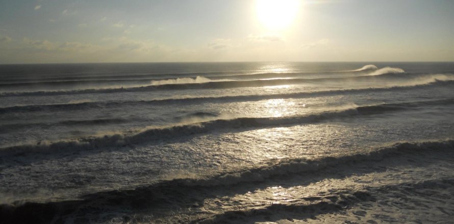 Condo à Palm Beach, Floride, 2 chambres  № 1091923