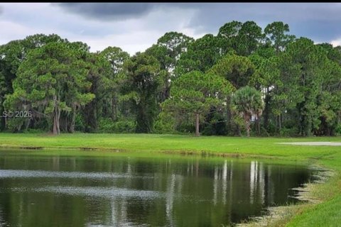 Land in Placida, Florida № 2214517 - photo 3