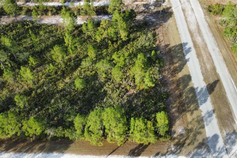 Land in Indian lake estates, Florida № 2161741 - photo 2