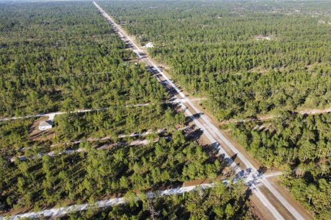 Land in Indian lake estates, Florida № 2161741 - photo 4