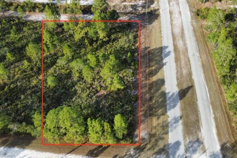 Land in Indian lake estates, Florida № 2161741