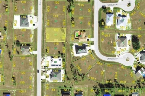 Land in Punta Gorda, Florida № 1602319 - photo 3