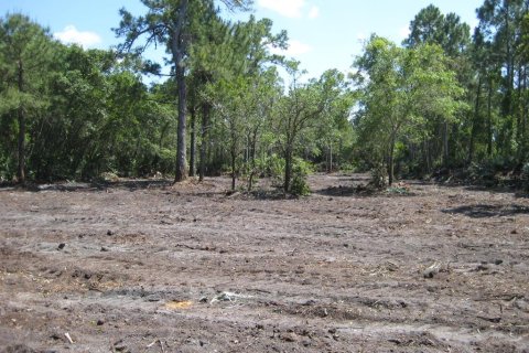 Land in Oak Hill, Florida № 1909105 - photo 5
