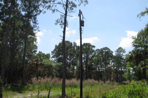 Land in Oak Hill, Florida № 1909105 - photo 4