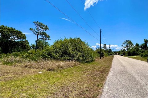 Land in Port Charlotte, Florida № 2161127 - photo 4