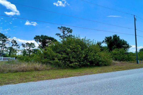 Land in Port Charlotte, Florida № 2161127 - photo 2