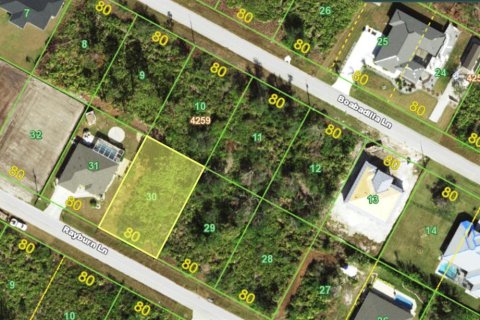 Land in Port Charlotte, Florida № 2161127 - photo 5
